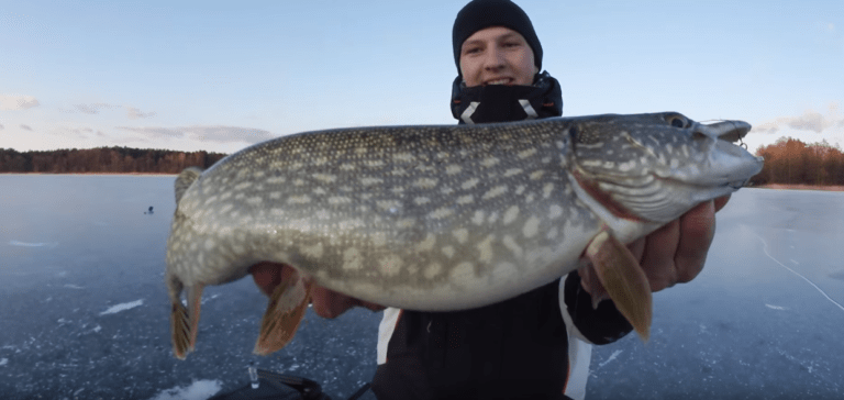 Fischereischein ist Pflicht