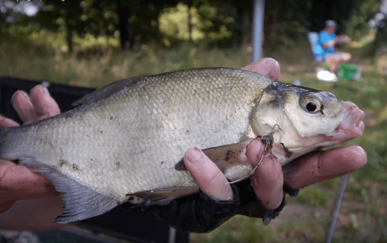 Fischerprüfung NRW 2019