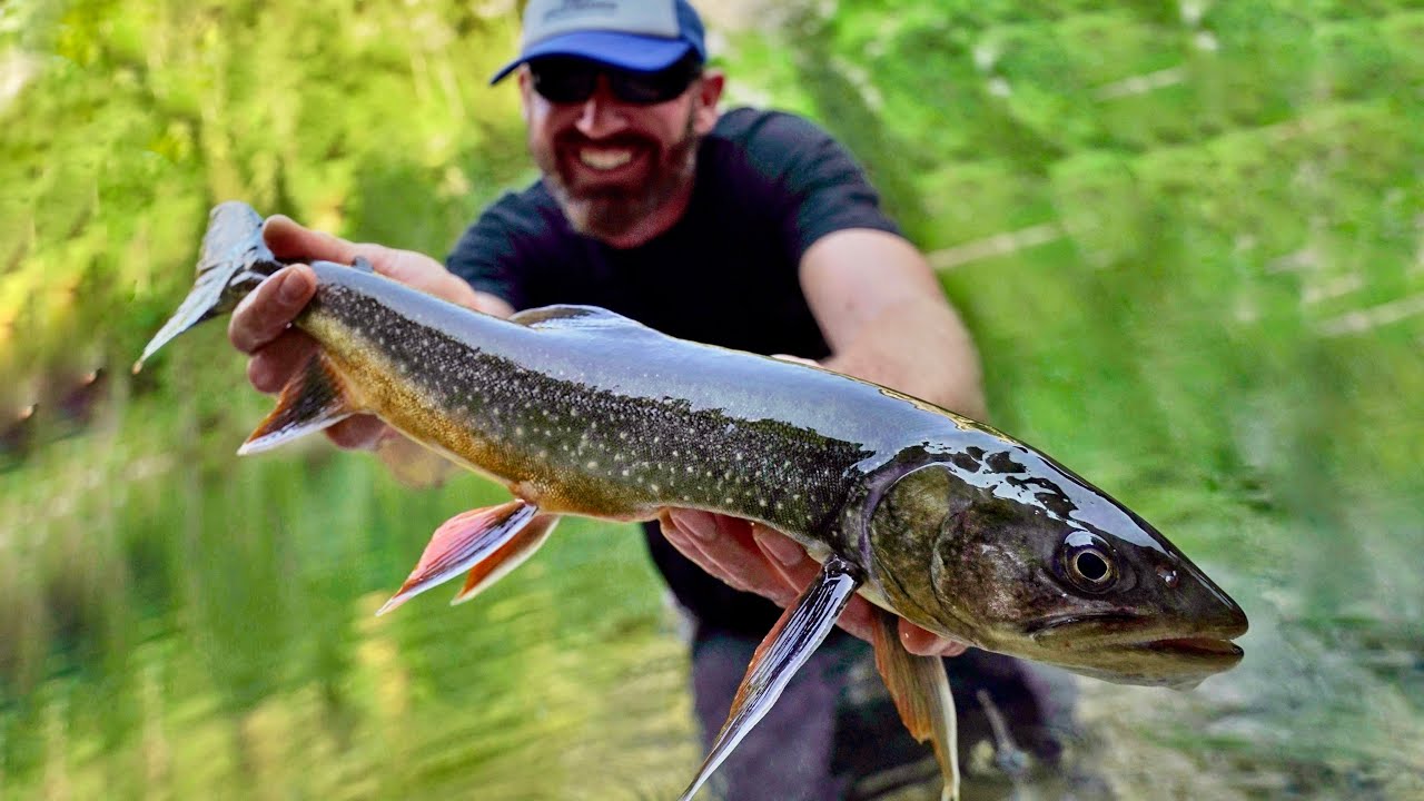 Todesklarer Bergsee – wir sehen alle Fische bis zu Grund (riesige Forellen & Saiblinge)