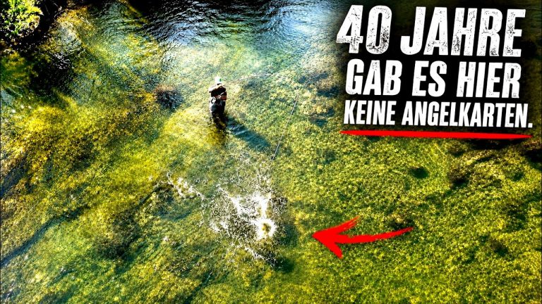 Wathose im Einsatz: Angler steht im klaren, flachen Fluss (Donau)