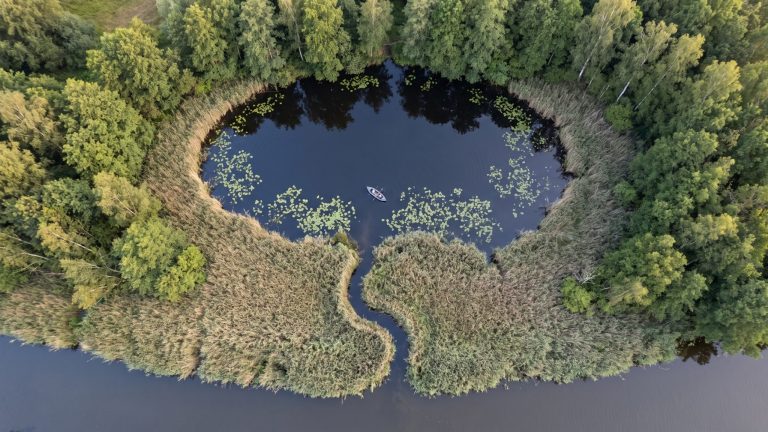 Drohnenaufnahme der runden Bucht mit enger Einfahrt an der Havel – hier soll der Wels leben